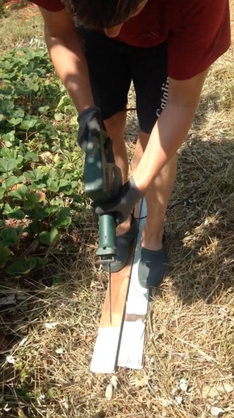 Cutting hay 1.jpg