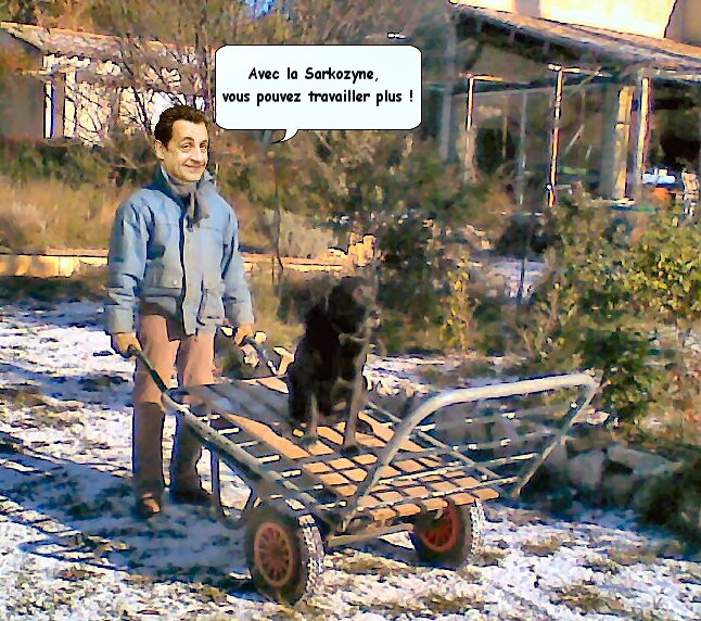 Sarkozyne.jpg