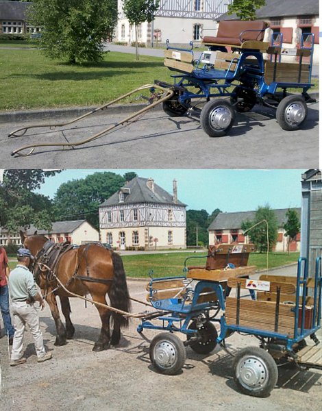 Calèche électrique (2).jpg