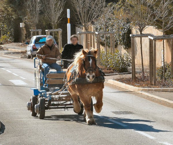 Electric horse-drawn carriage (1) .jpg