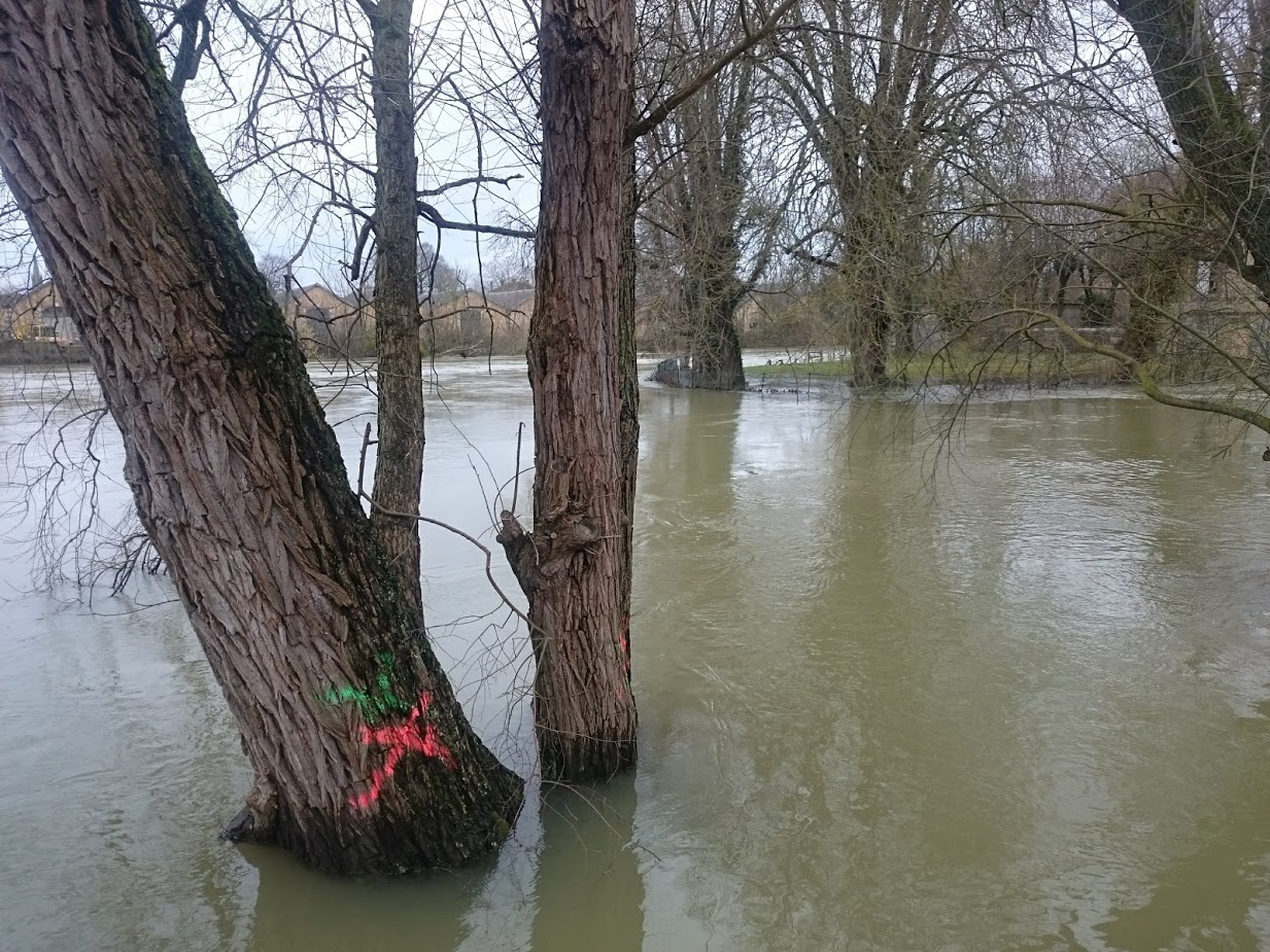 Berlina_inondations_2018_4.JPG