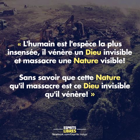 nature_dieu_ecologie.png