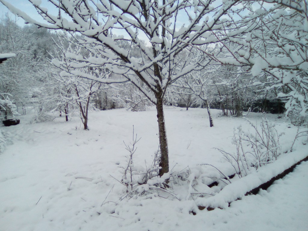 garden_neige_fevrier2018_3.jpg
