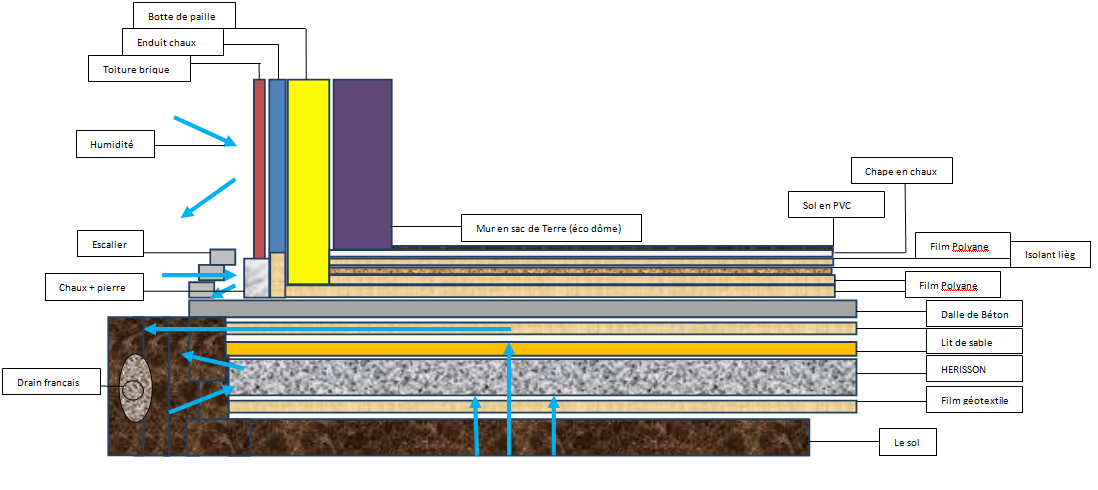 plan de trabajo estructural.PNG