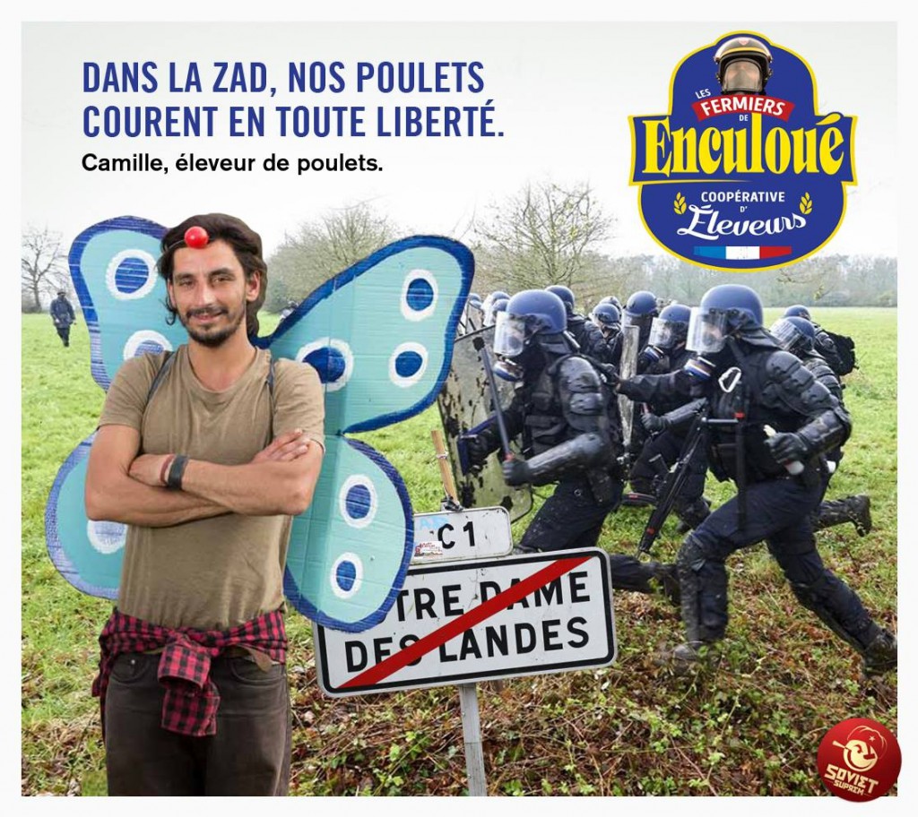 zad.jpg