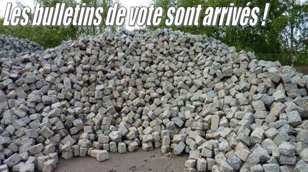 bulletin-vote.jpg