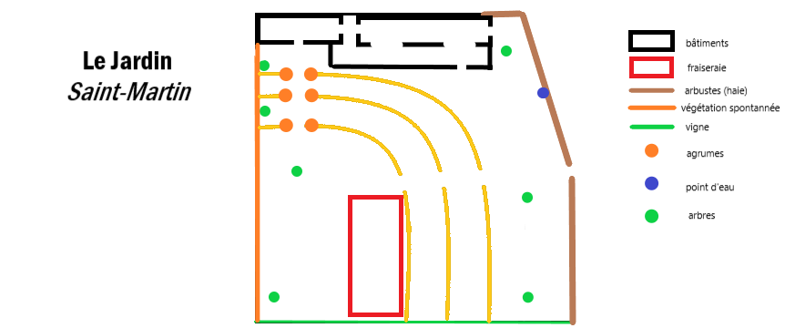 plan de proiecție.png