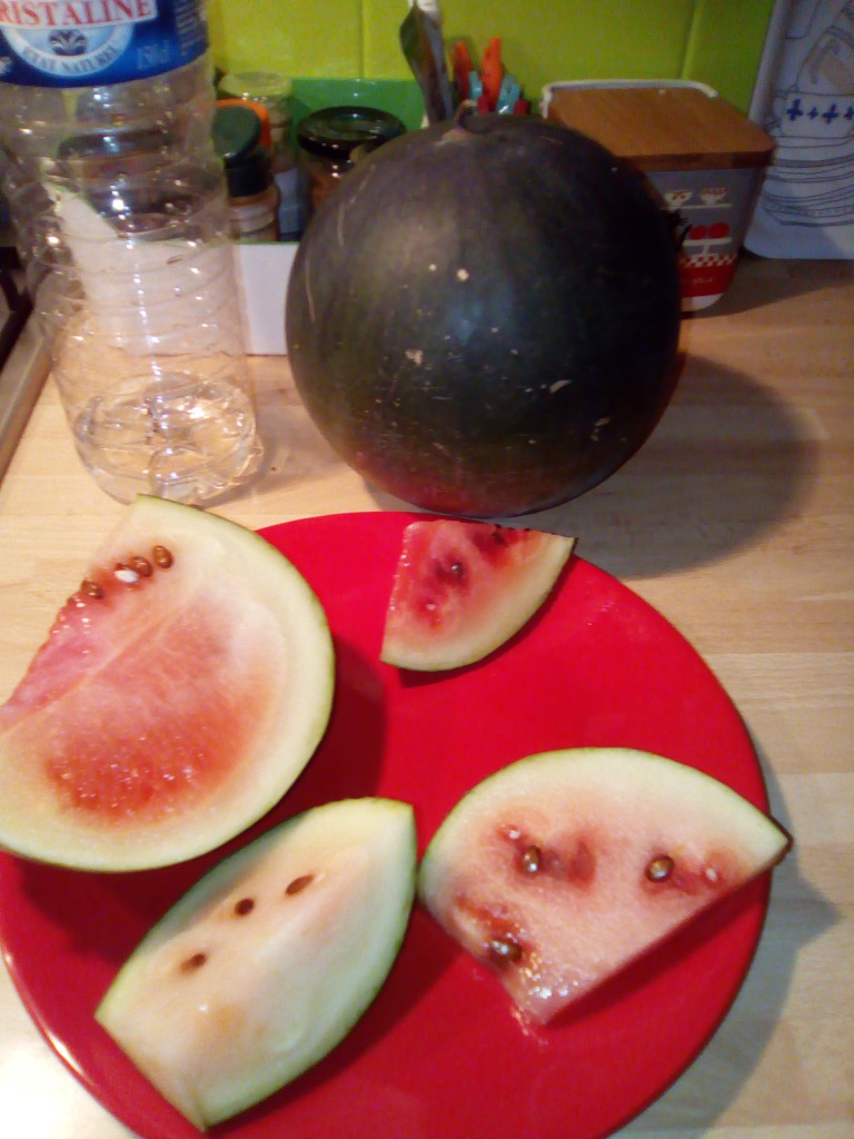 wassermelone2018.jpg