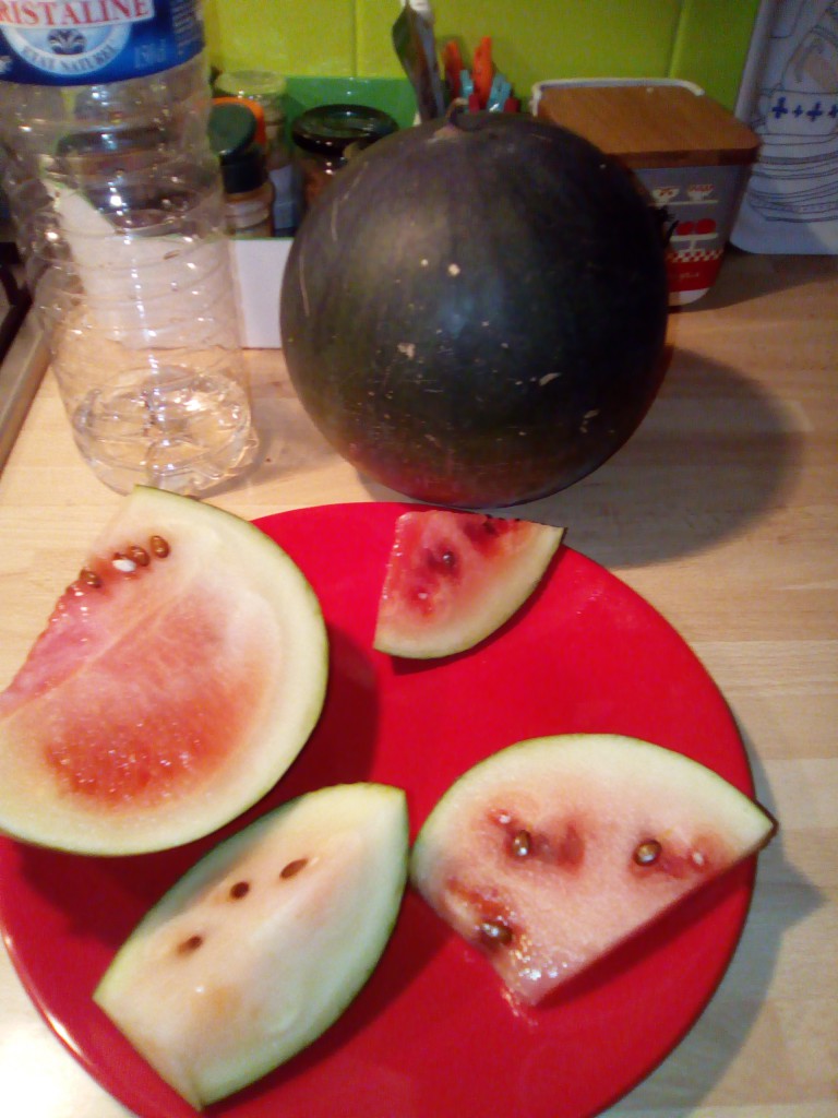 watermelon2018.jpg