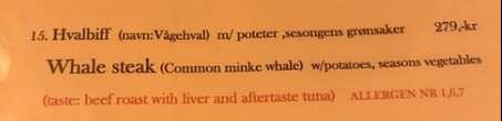 Stek z wieloryba w menu.jpg