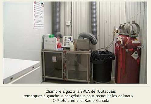 Gas chamber for animals.jpg