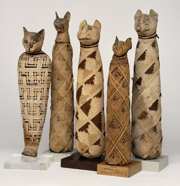 مومیایی مصری-cats.jpg
