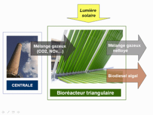 schematisch diagram van de productie van biobrandstoffen op basis van algen