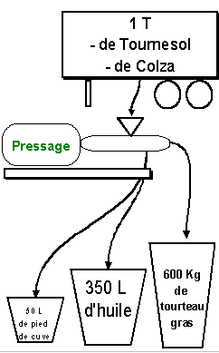 cogénération colza