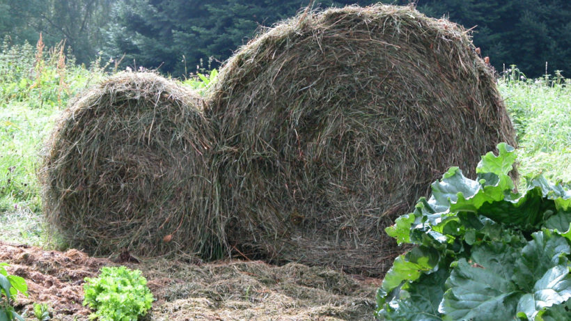 Le Potager du Paresseux: produire des légumes "plus que bio" presque ...
