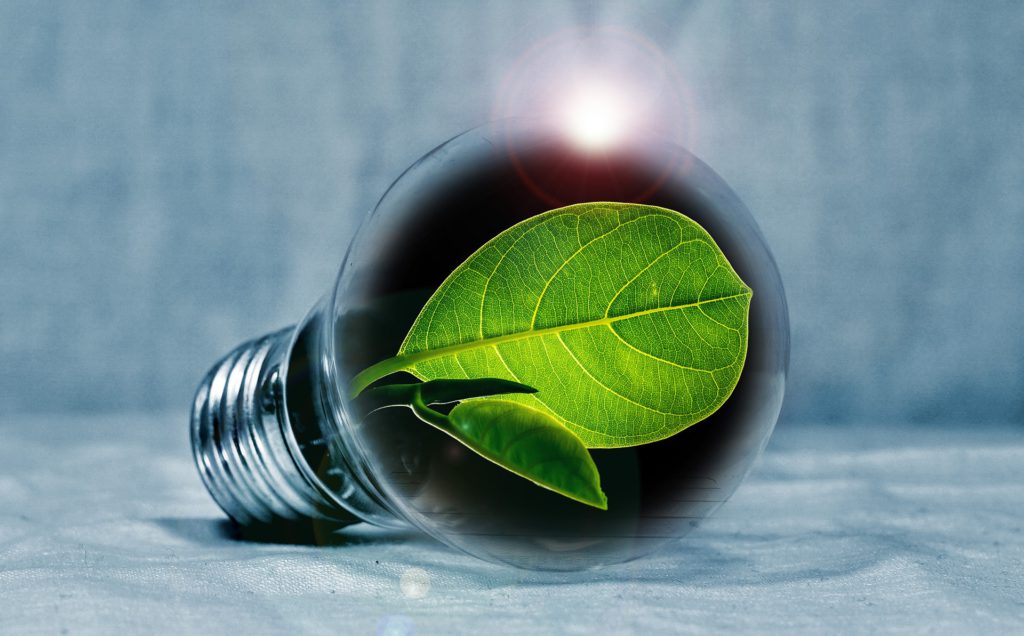 Icônes D'écologie D'ampoule Et De Lampe à Led Course Modifiable