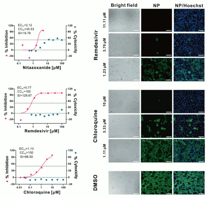 Efficacité de la planequil sur le covid19 (coronavirus 2019)