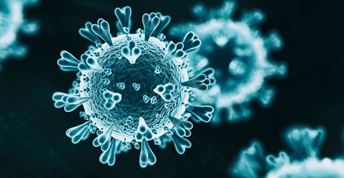 coronavirus