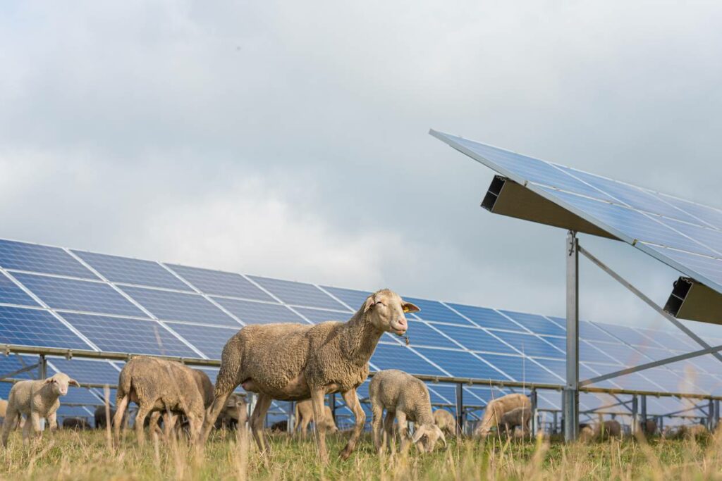 centrale photovoltaïque sur terrain agricole
