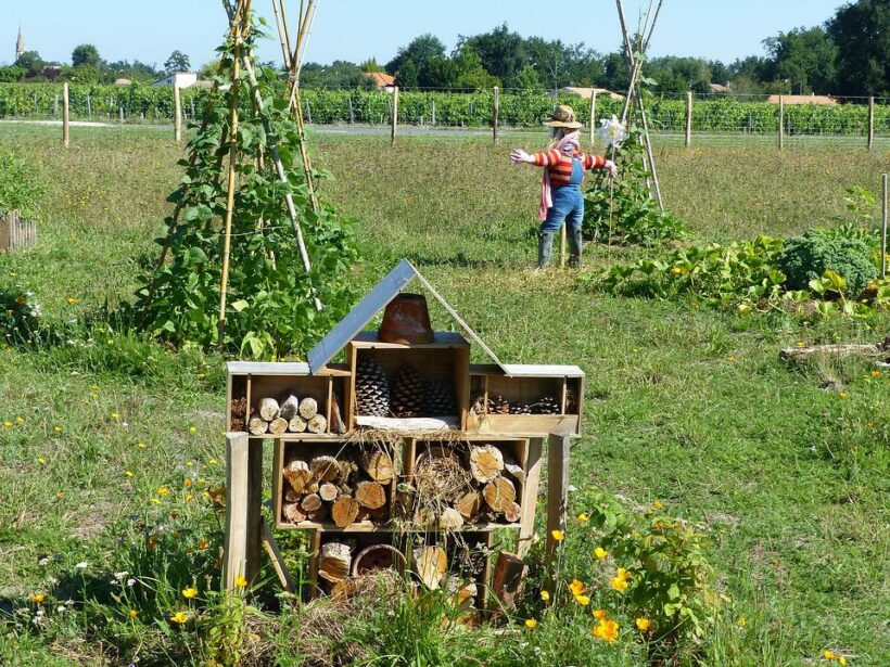 potager permaculture