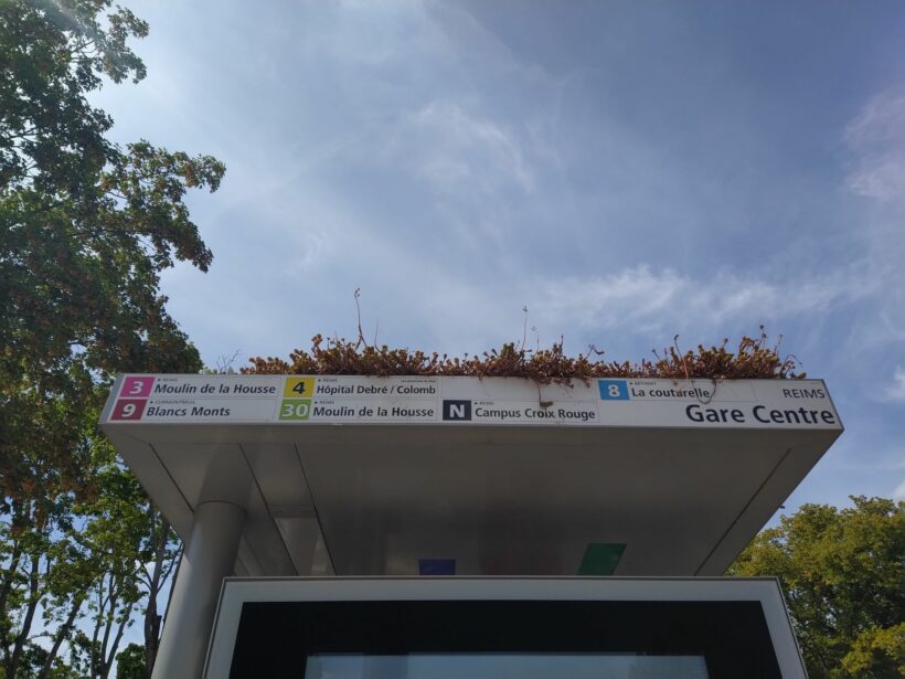 plant bus shelter