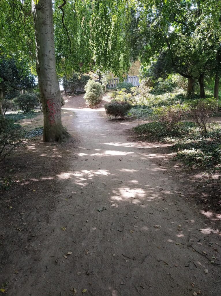 Allée ombragée d'un parc de Reims